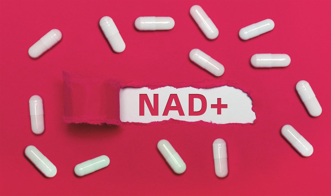 Why Choose Selerb NAD+ for Anti-Aging?