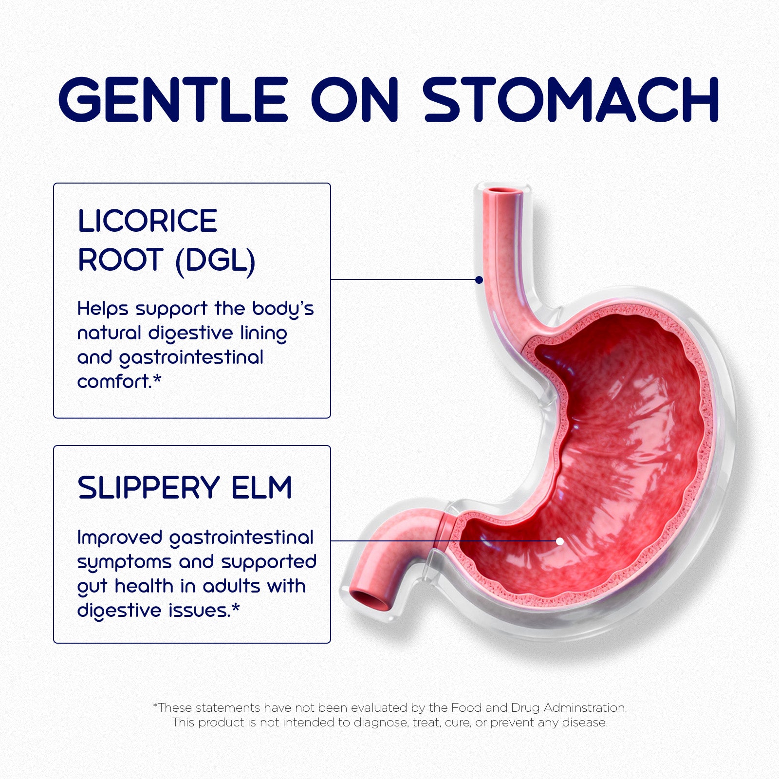 18 in 1 Magnesium Complex Gummies