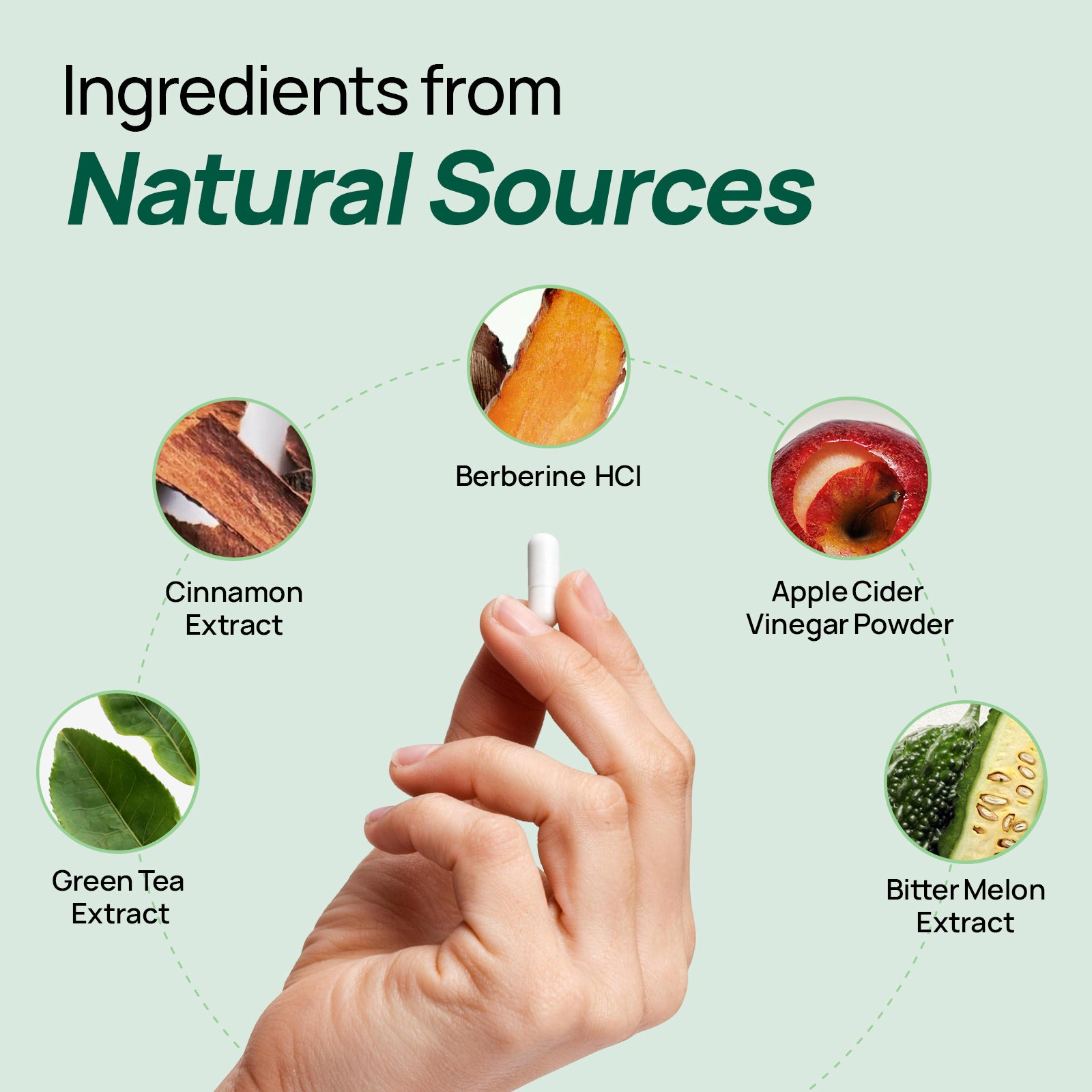 Metaburn Daily Metabolic Support