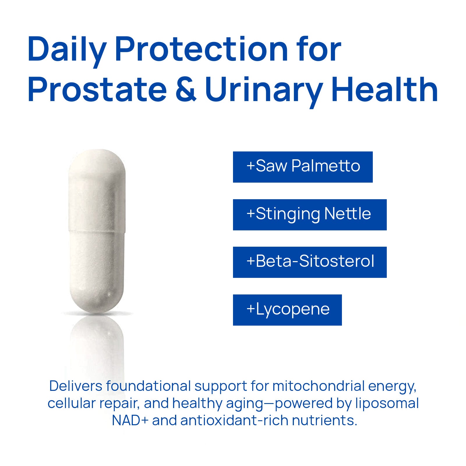 Selerb NAD+ Supplement for Men