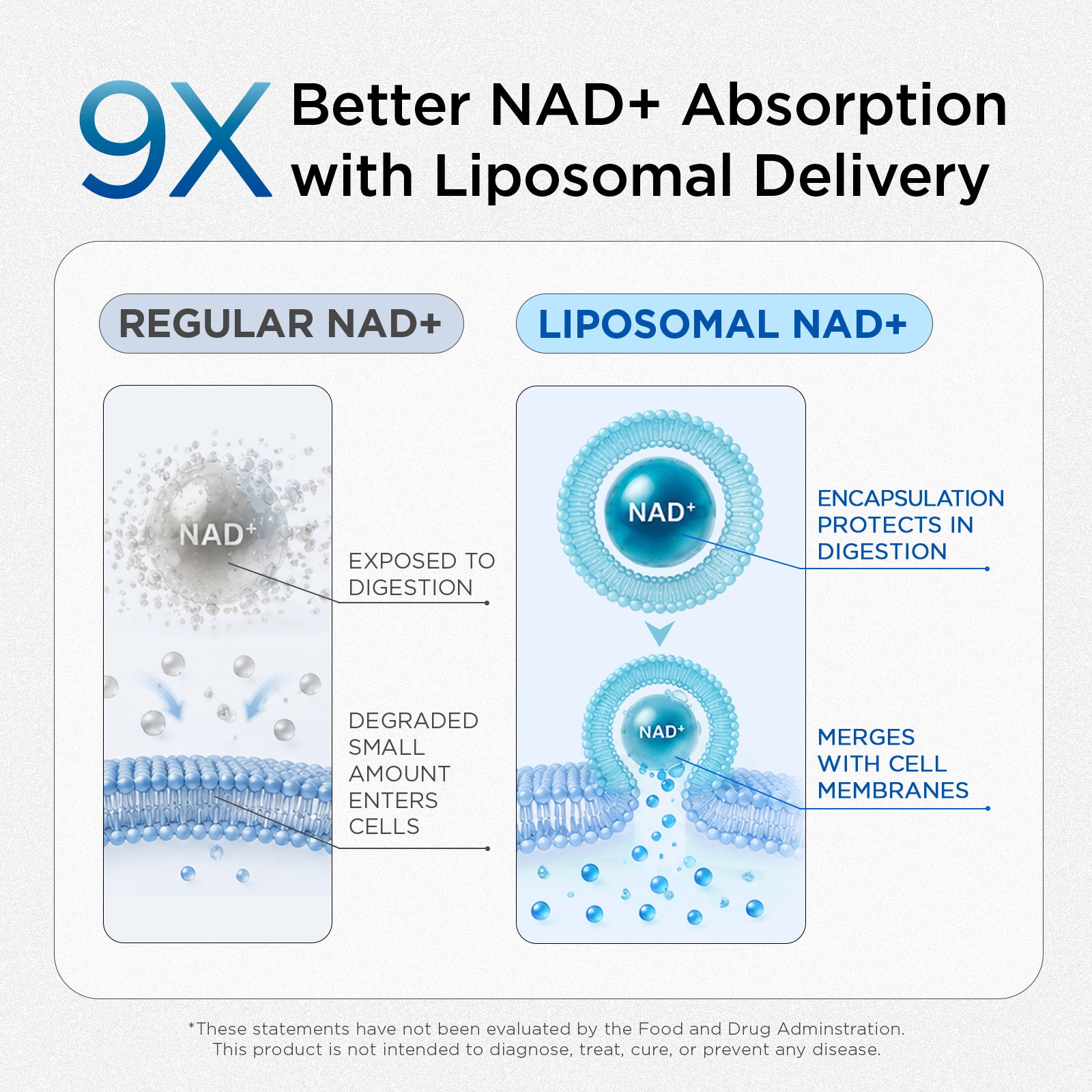 Daily NAD+ for Men