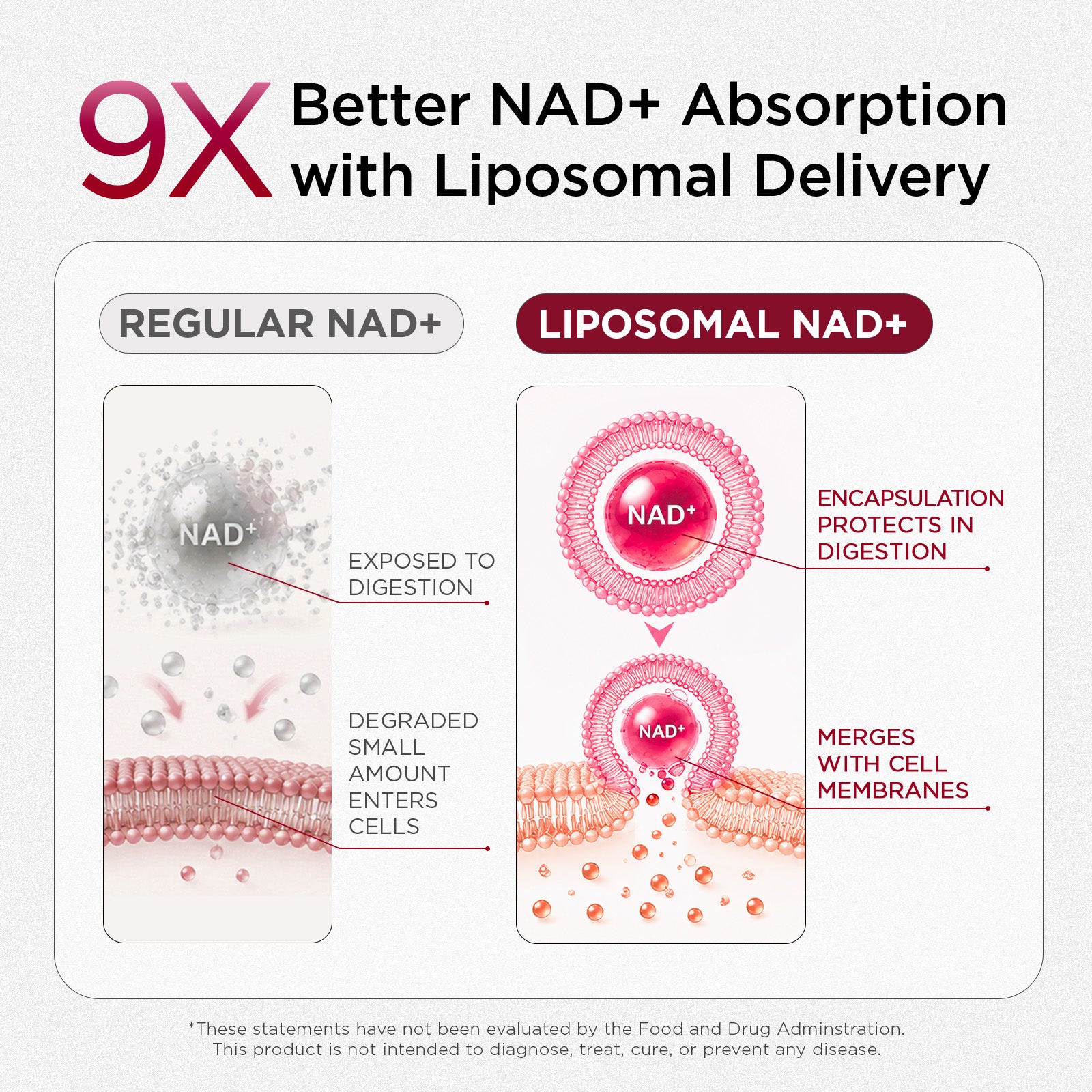 Daily NAD+ for women