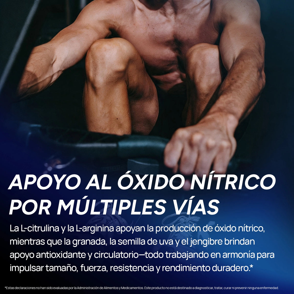 Testosterone Booster (mx)