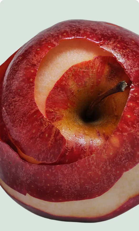 Research on Liquid Apple Cider Vinegar