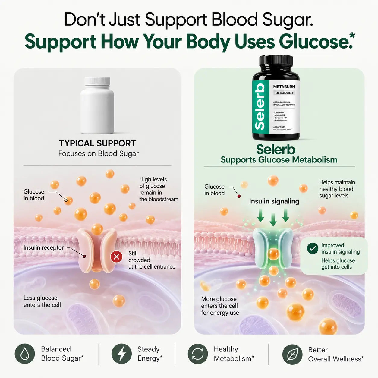 METABURN GLUCOSE SUPPORT